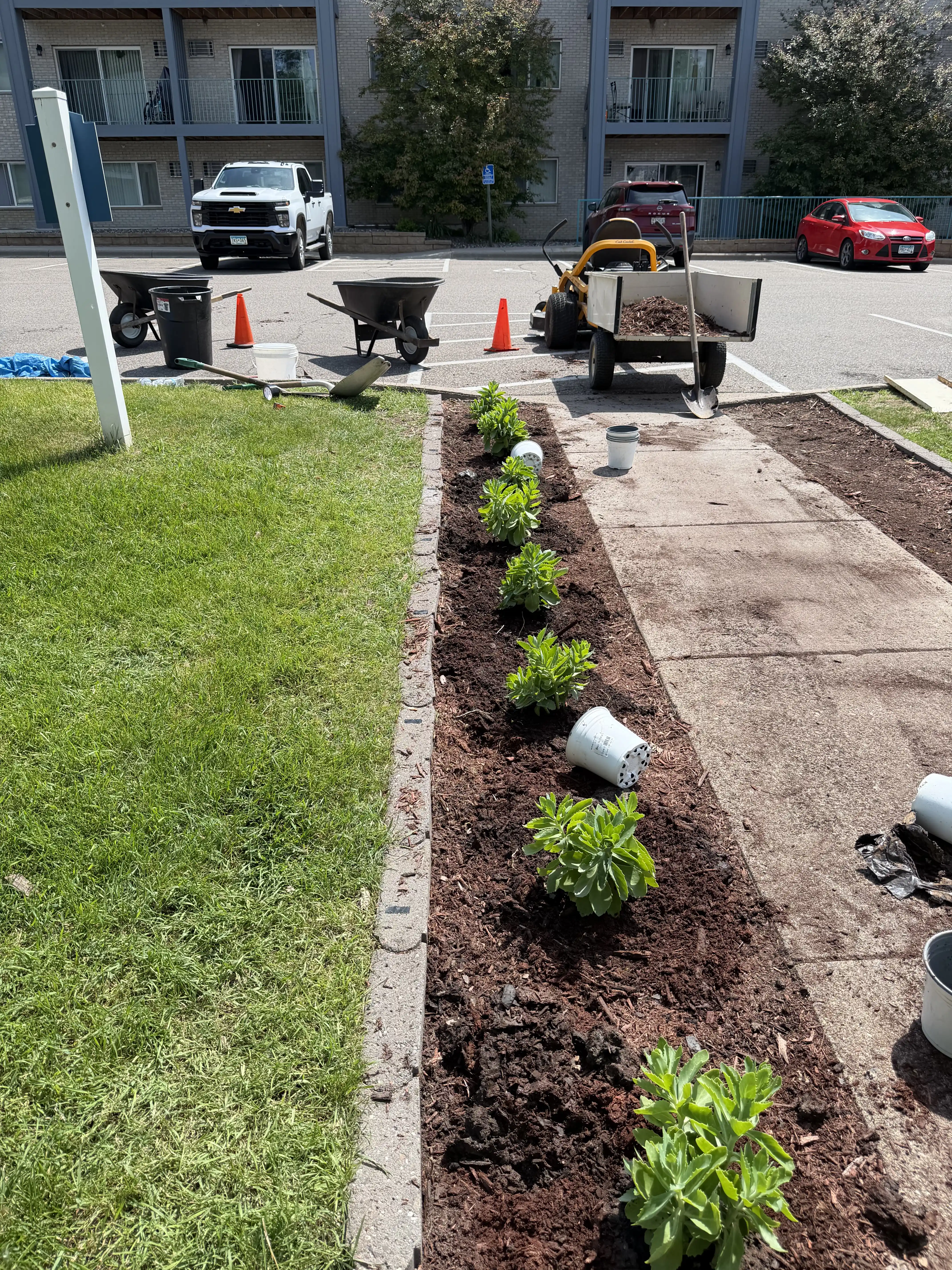 Landscaping crew planting shrubs in a freshly mulched bed at a multifamily property in the North Twin Cities Metro