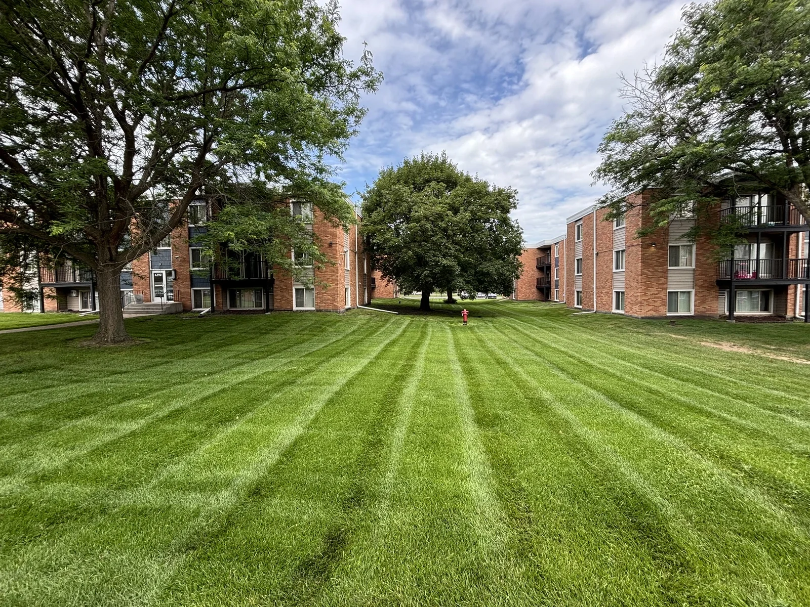 Freshly mowed lawn with clean stripe pattern at a multifamily property