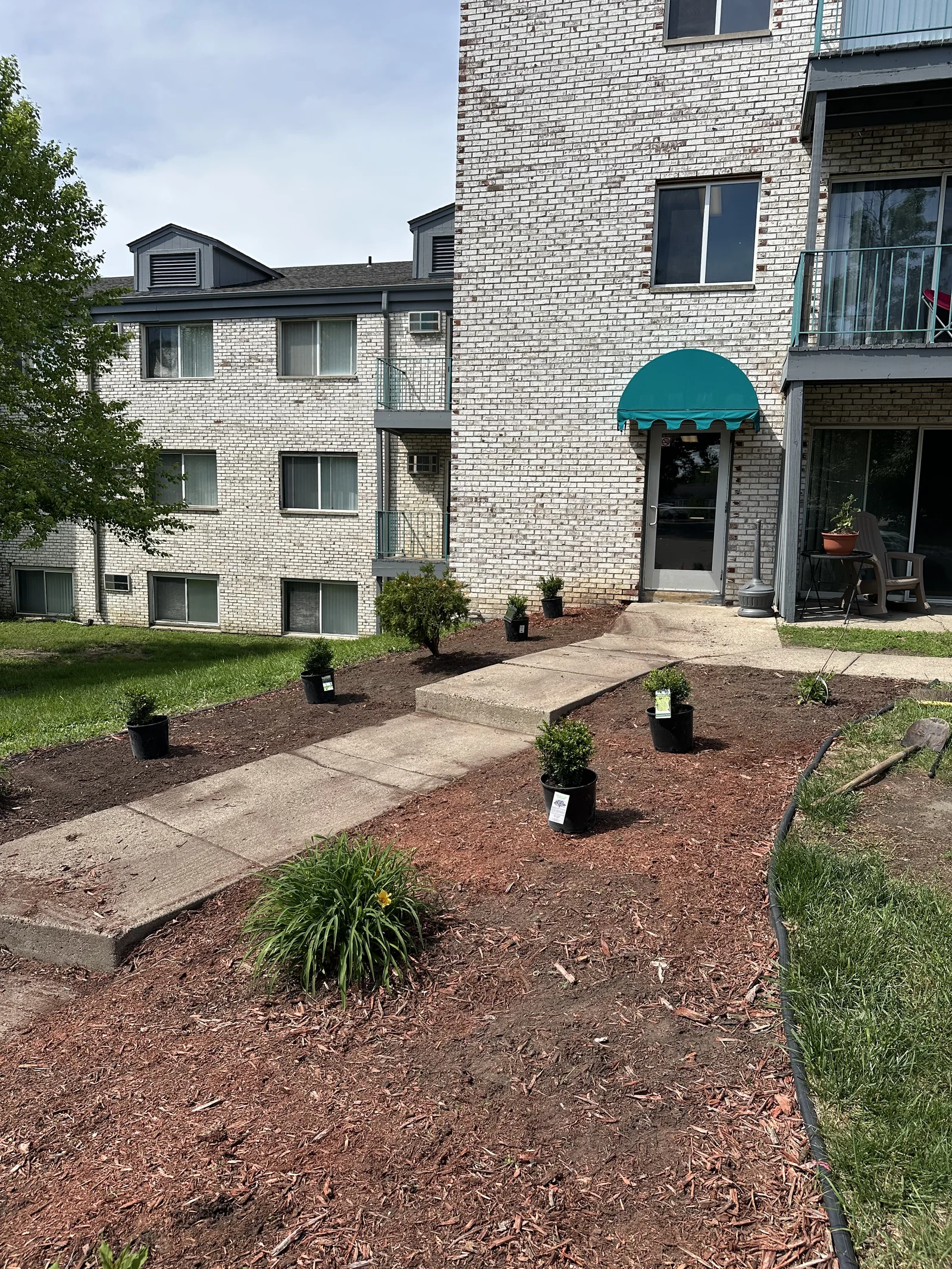 New plants staged for installation at a second building entrance at Plymouth Commons