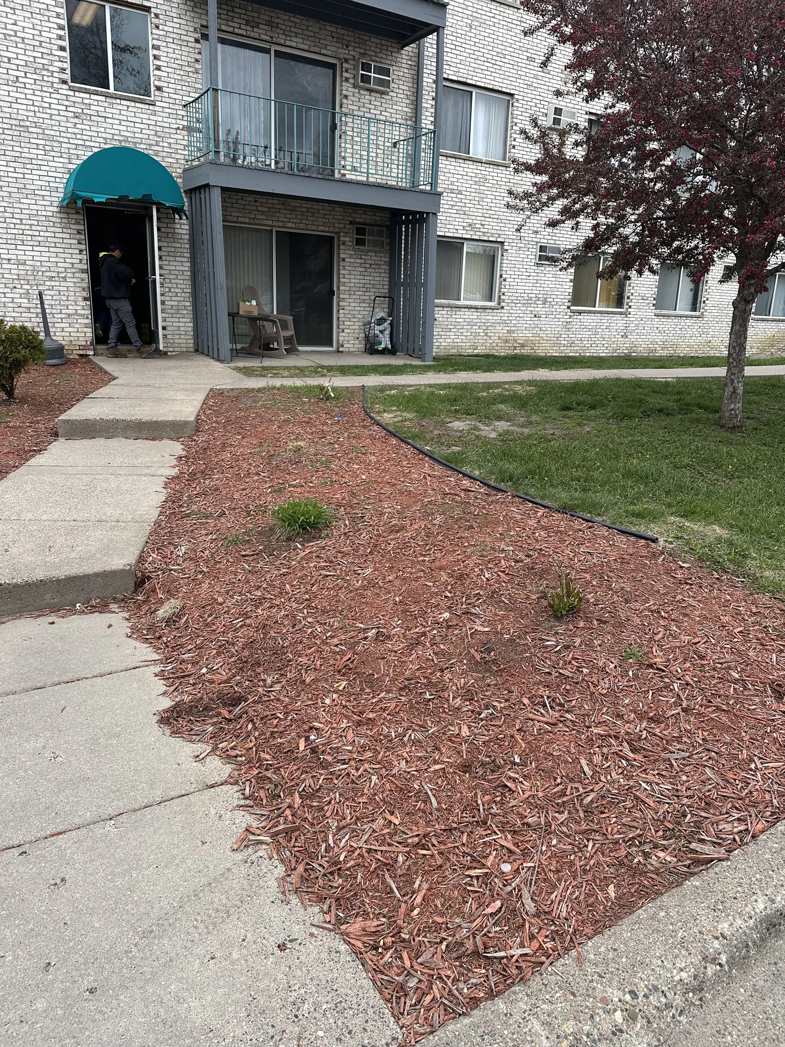 Thin mulch bed near a building entrance at Plymouth Commons before renovation