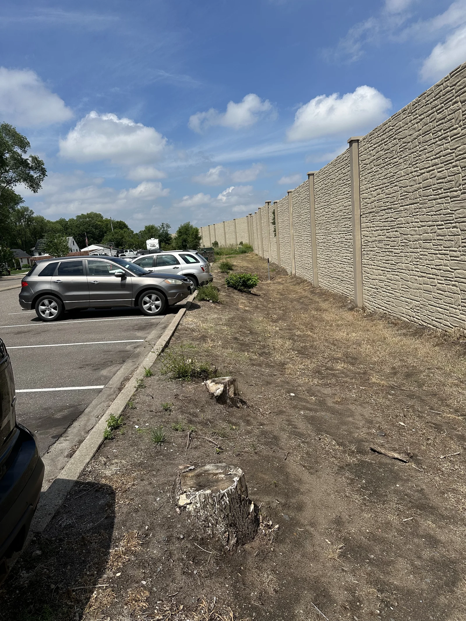 Bare dirt, weeds, and two old tree stumps along the privacy wall at Cove Apartments before renovation