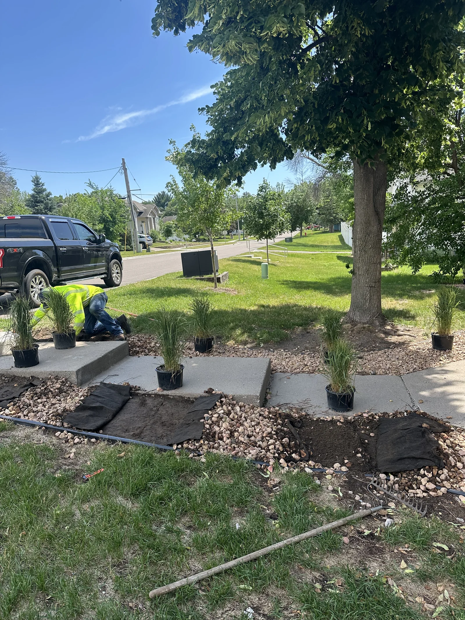 Crew planting ornamental grasses along a sidewalk bed at Cove Apartments