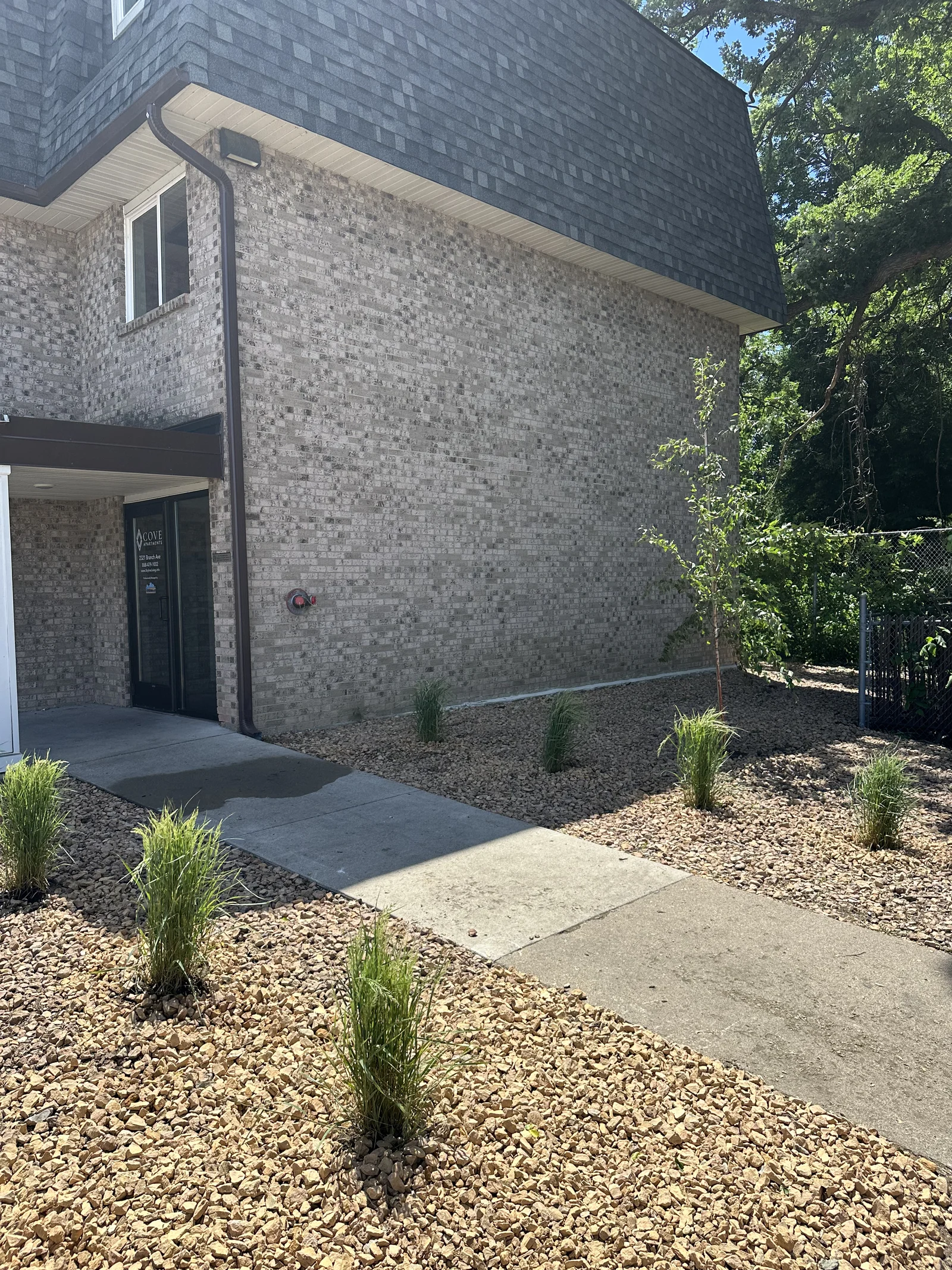 Cove Apartments building corner after stump removal, with a new tree and fresh plantings