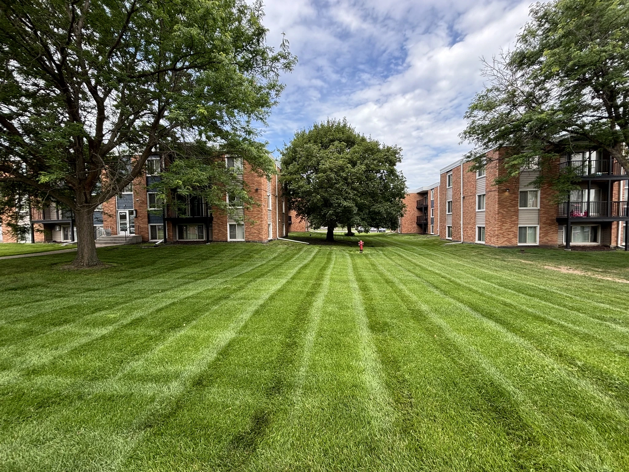 Freshly mowed apartment complex lawn with crisp stripe pattern in the North Twin Cities Metro