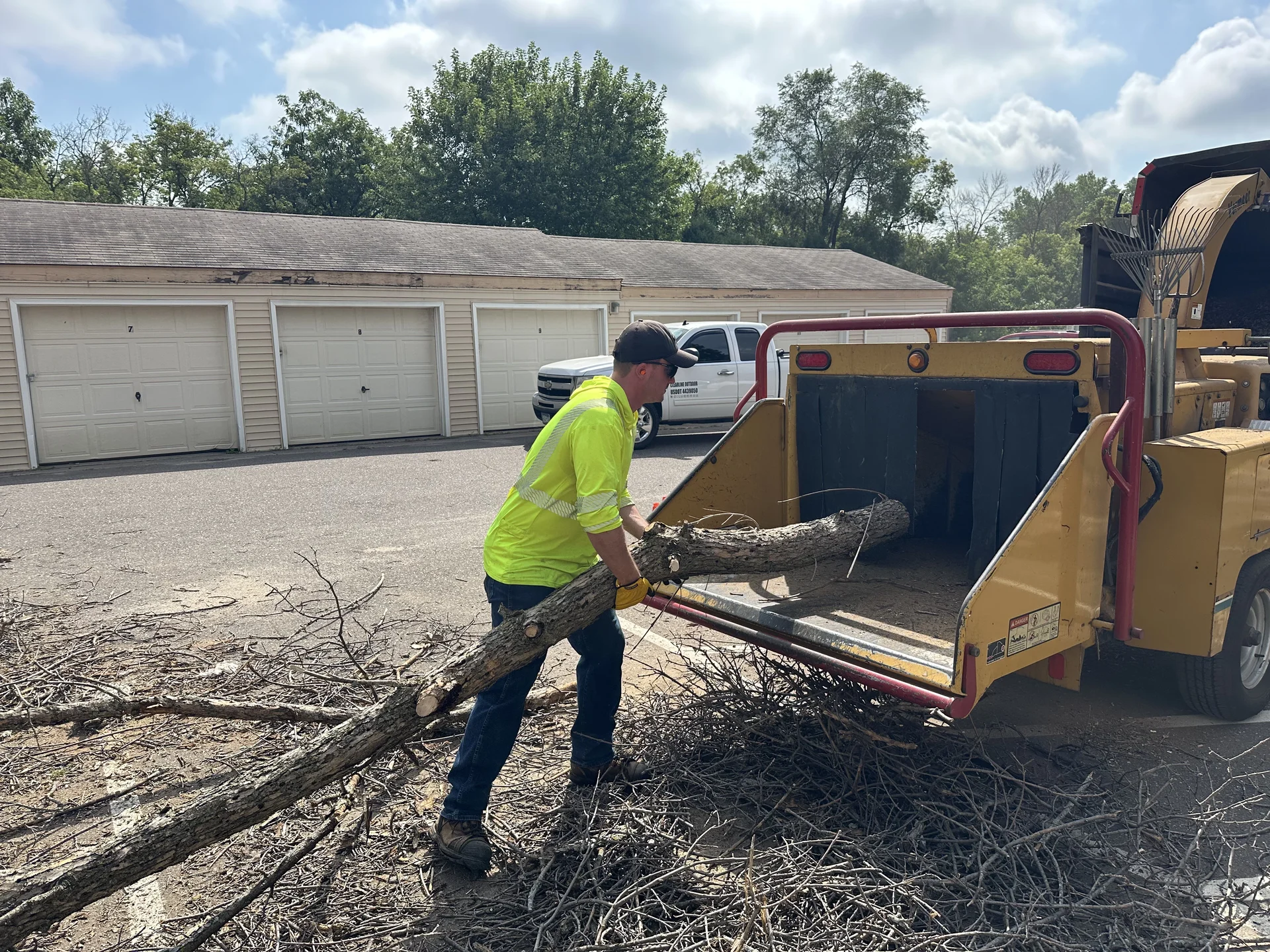 Clearline Outdoor crew member loading a downed tree into a wood chipper during a multi-tree removal project in Crystal, Minnesota