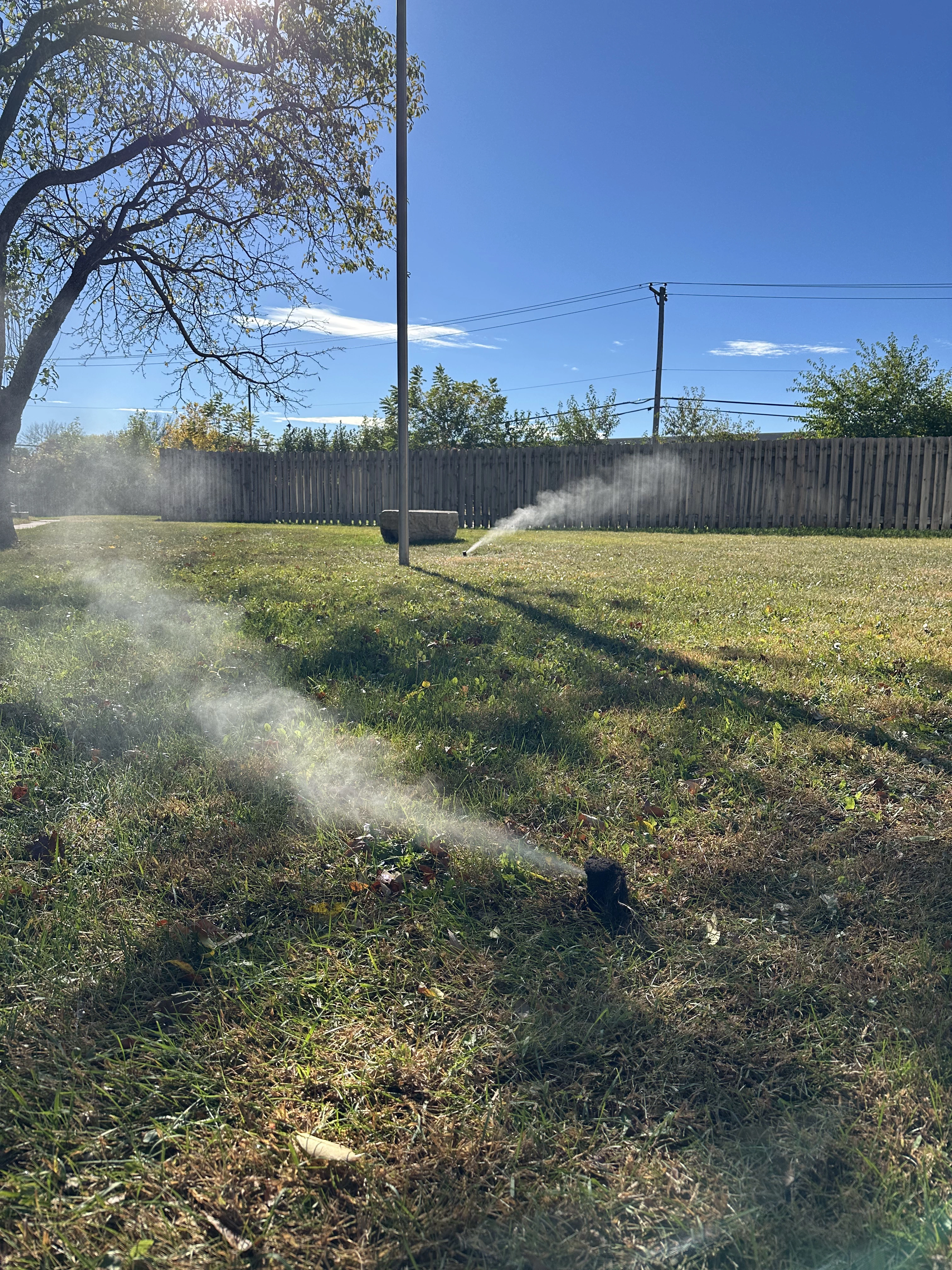 Irrigation sprinkler head actively spraying with visible water mist in a fenced backyard area