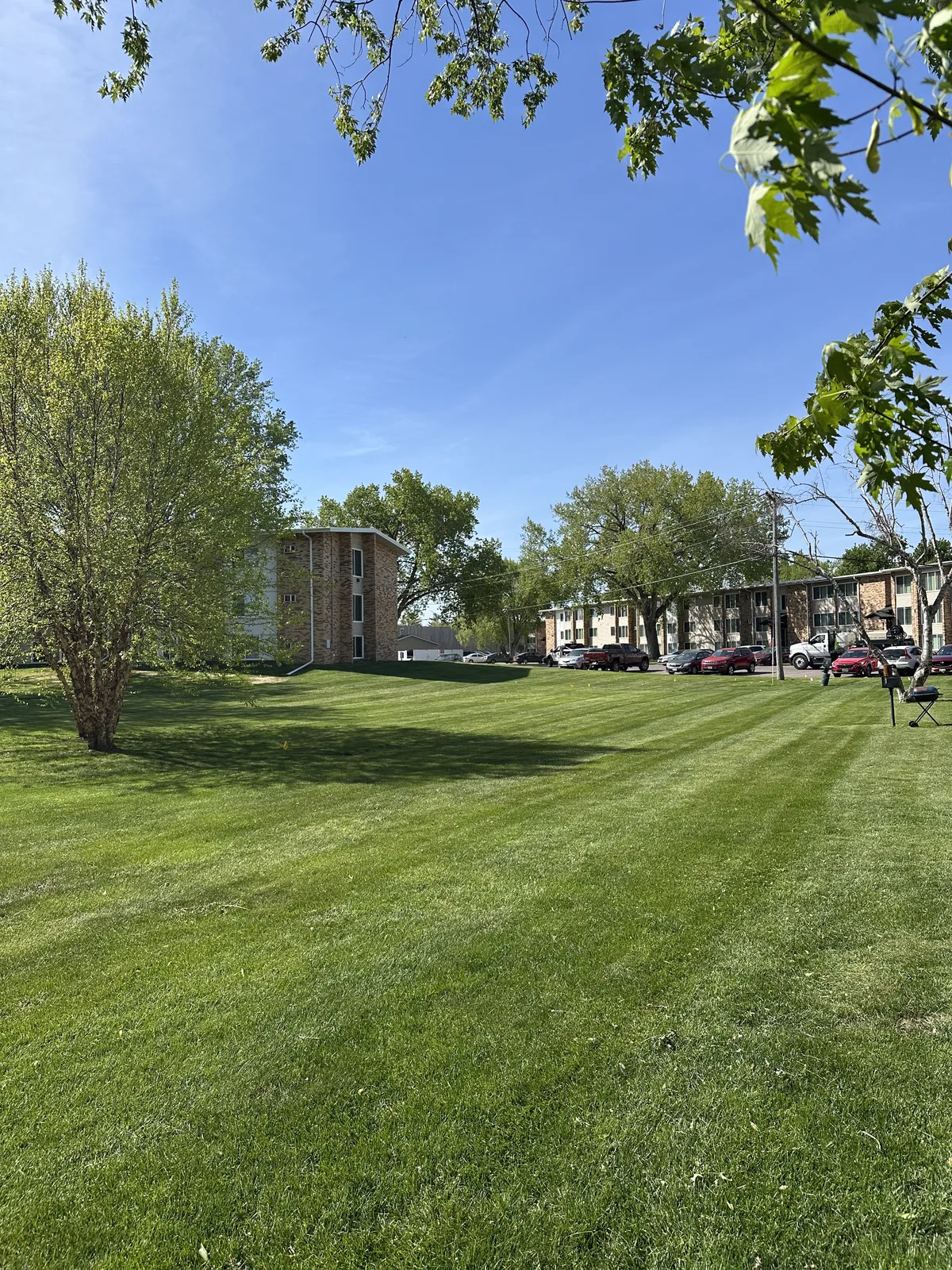 Fresh mow stripes on a commercial multifamily lawn with trees and property buildings in the background