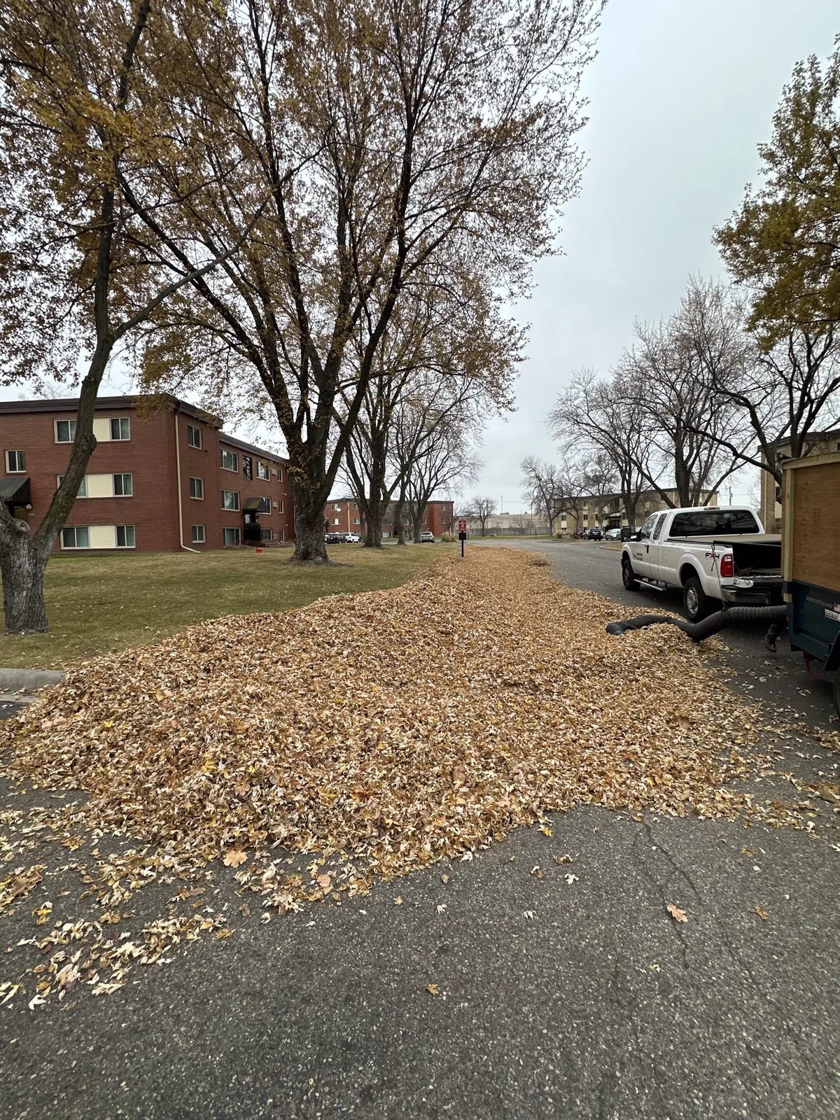 Large pile of collected fall leaves being vacuumed into a trailer at an apartment property