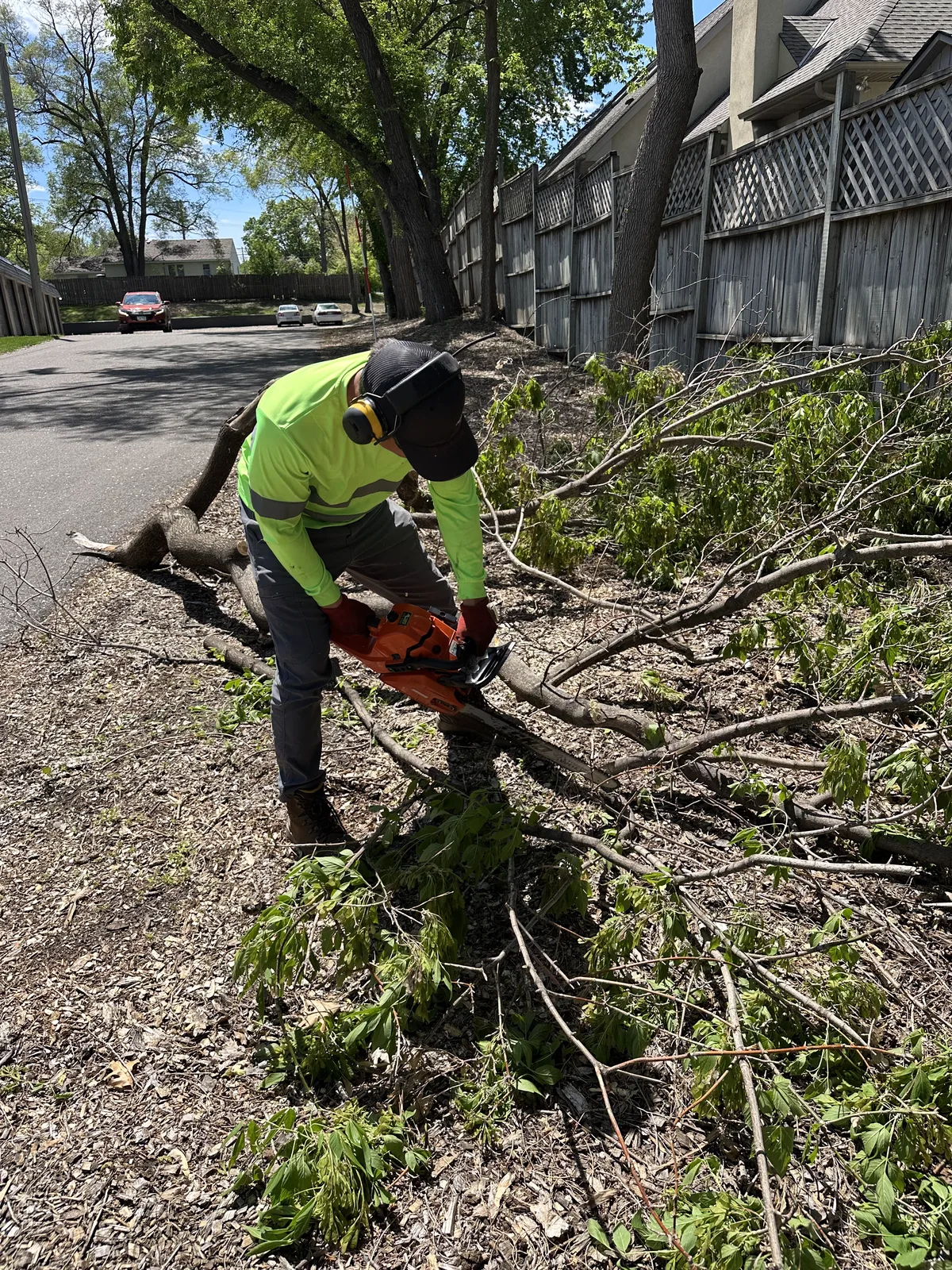 Clearline Outdoor crew member cutting tree branches with a chainsaw while wearing full PPE, including a hard hat, ear protection, and gloves