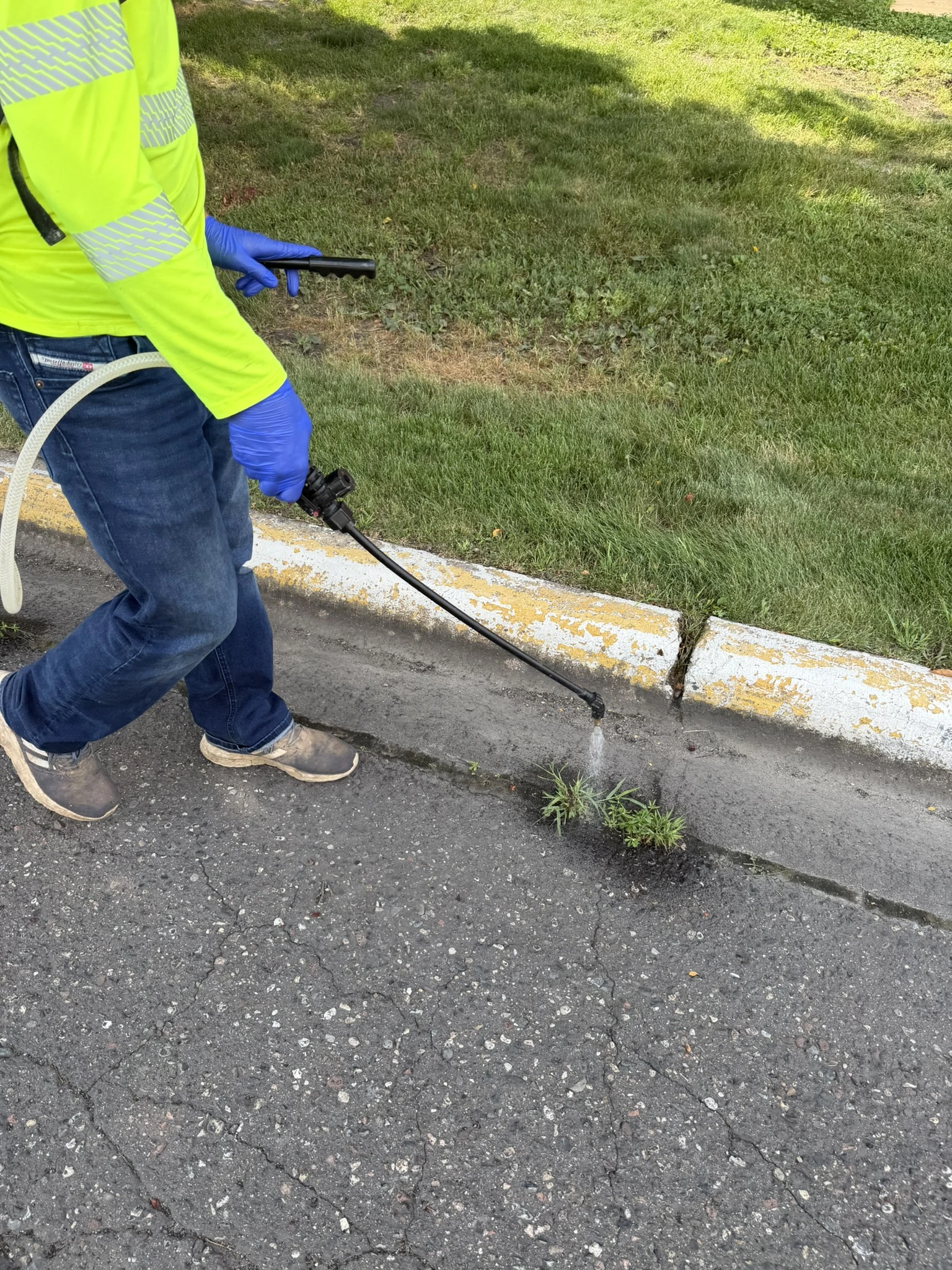 Clearline Outdoor technician spraying targeted weed treatment along a curb line at a North Metro property