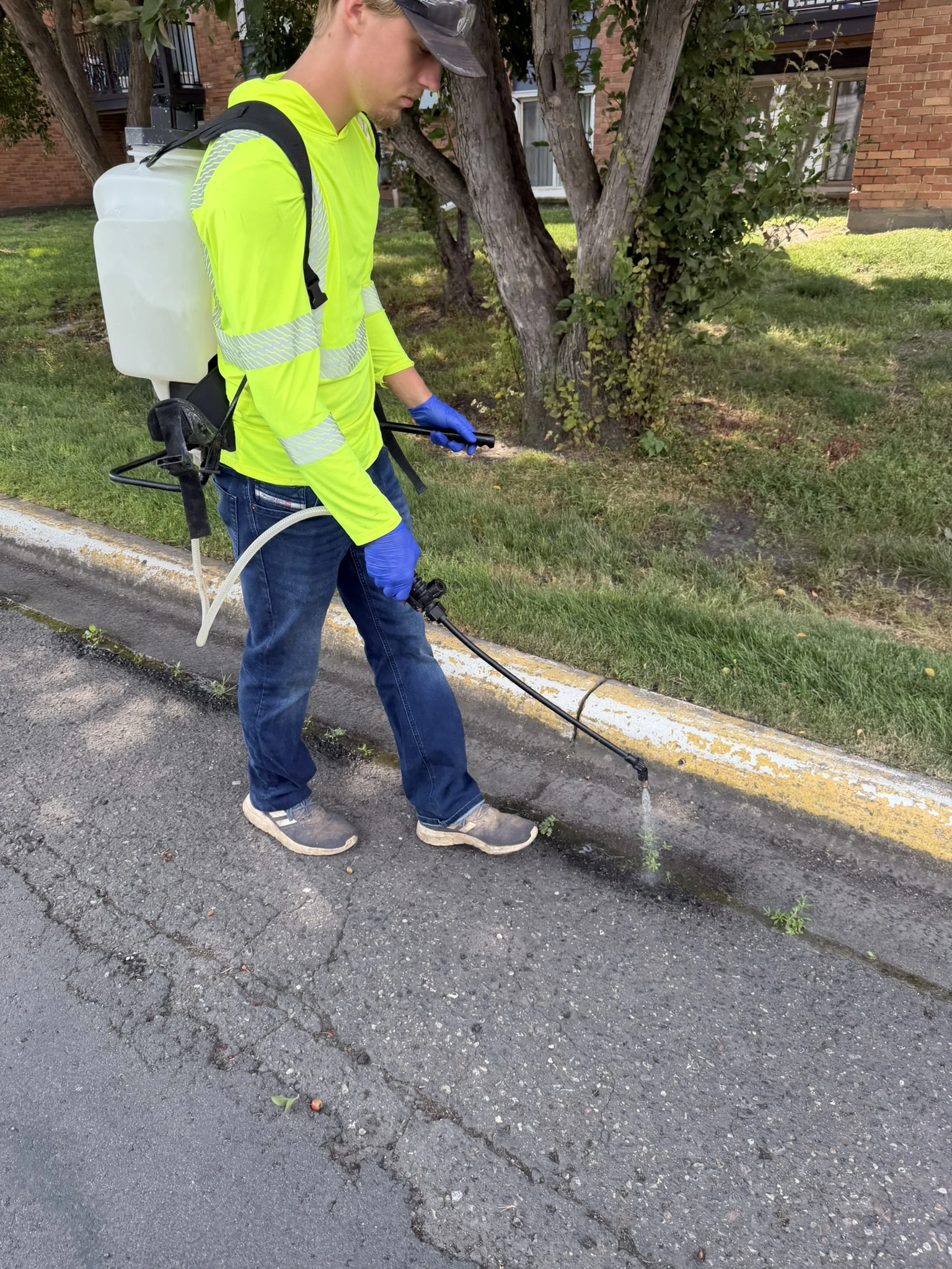 Clearline Outdoor technician with backpack sprayer treating turf and curb edges near an apartment building